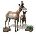 mom and baby antelope