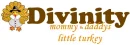 DIVINITY