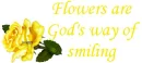 flowes are gods way of smiling