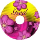 Gied