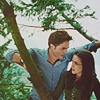 twilight