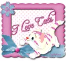 I Love Cats