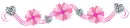 Pink Flower