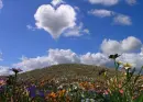 heart clouds