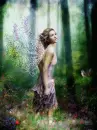 FAIRY