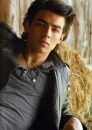 joe jonas