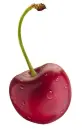 cherry photo