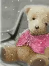 Cute bear