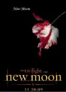 New Moon 