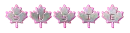 SUSIE