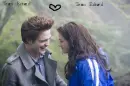 Team Edward