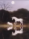 baby and mom unicorn