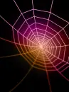 spider web drop