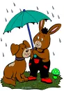 Bunny and Dog - in rain