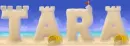 Tara sandcastle