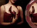 Red dragon