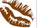 lip13