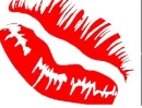 lip14