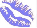 lip17