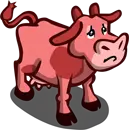 Pink Cow