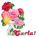 Flower (Carla)