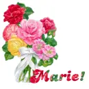 Flower (Marie)