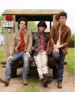 the jonas brothers