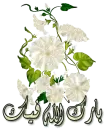 islamic