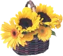 sunflower basket