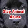 Puppy Icon