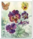 Flowers.