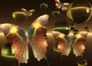 Butterflies.