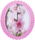 Flowers.