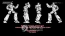 Robot  TaeKwon V