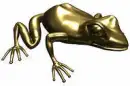 gold frog