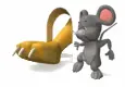 cat and mouse