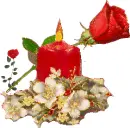 Candle