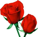 Two