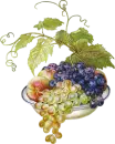Fruits