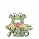 hello