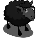 Black sheep