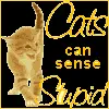 Cats can sense