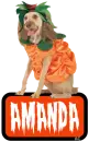 Amanda