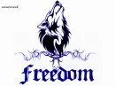 Freedom