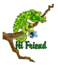 Hi Friend