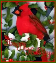 Happy Holidays