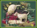 Happy Holidays