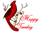 Happy Tuesday