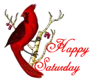Happy Saturday