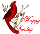 Happy Sunday